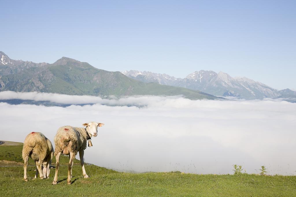 Hotel Le Viscos Saint-Savin  Esterno foto