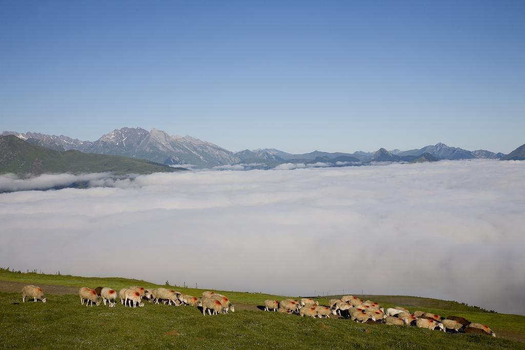 Hotel Le Viscos Saint-Savin  Esterno foto